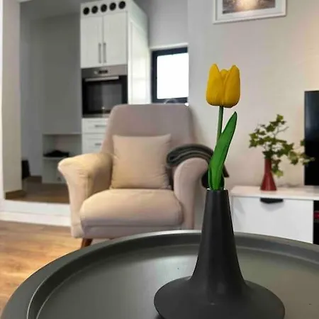 Location 3-floor With 6 Bedrooms 빌라 티라나